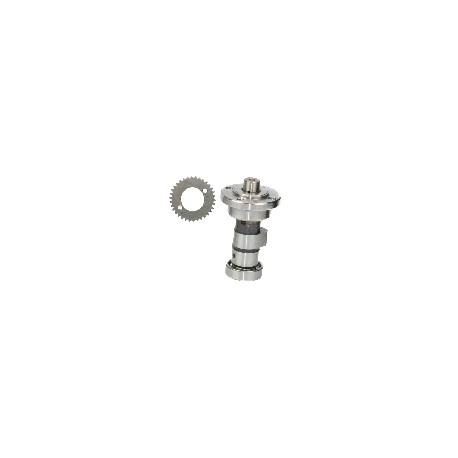 EJE LEVAS RACER 250 / CBP 250 / TTX 250